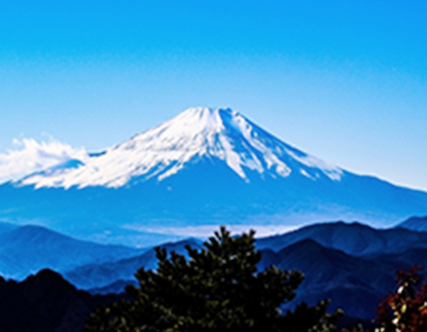 世界遺産周遊タクシー　富士山